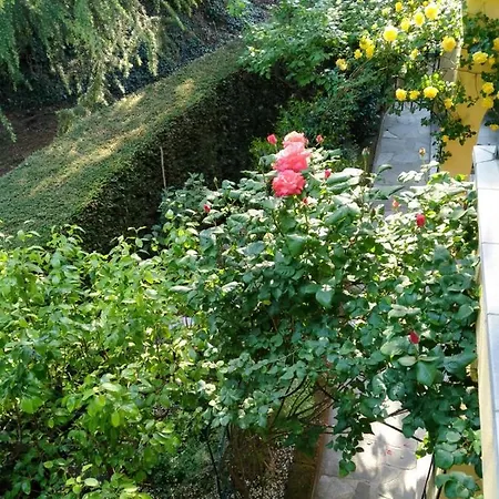 Rose's Garden - Zona Tranquilla - Vicino Torino Apartamento *