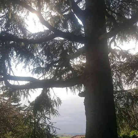 Rose's Garden - Zona Tranquilla - Vicino Torino Apartment *